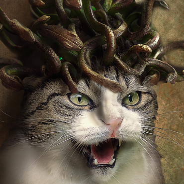 Meowdusa Vintage Medusa Cat - Random Galaxy 500 Jigsaw Puzzle 3D Modell