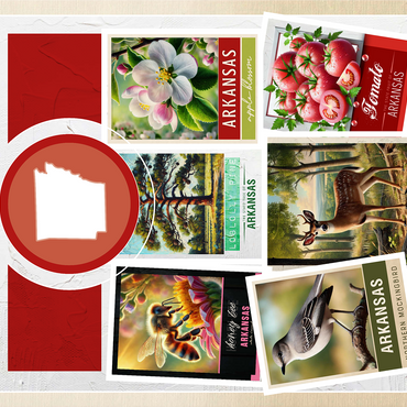 Collage: Arkansas State Symbols 1000 Jigsaw Puzzle 3D Modell