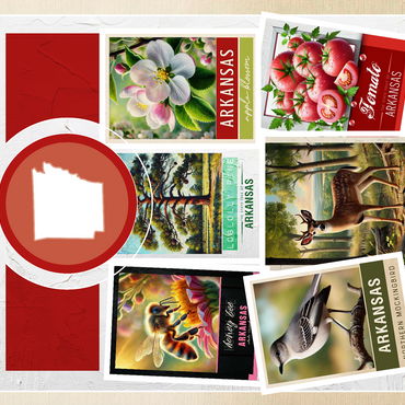 Collage: Arkansas State Symbols 500 Jigsaw Puzzle 3D Modell