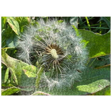 puzzleplate Summer Dandelion 500 Jigsaw Puzzle