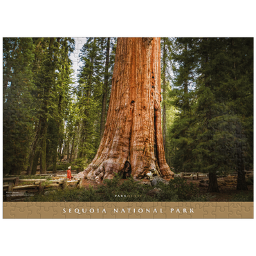 puzzleplate Sequoia National Park: General Sherman 300 Jigsaw Puzzle