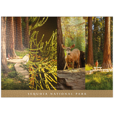 puzzleplate Sights of Sequoia National Park 1000 Jigsaw Puzzle
