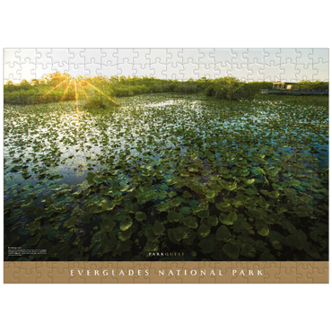 puzzleplate Everglades National Park: Anhinga Trail 300 Jigsaw Puzzle