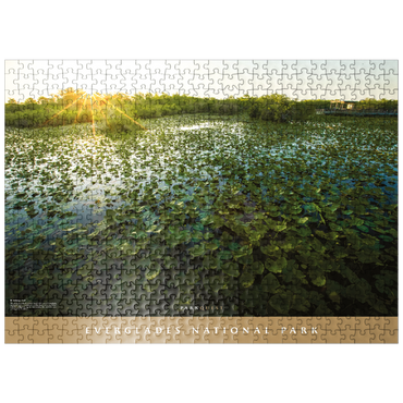 puzzleplate Everglades National Park: Anhinga Trail 500 Jigsaw Puzzle