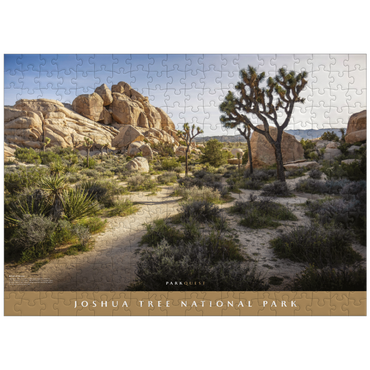 puzzleplate Joshua Tree National Park: Hall of Horrors Trail 300 Jigsaw Puzzle