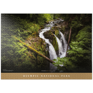 puzzleplate Olympic National Park: Sol Duc Falls 1000 Jigsaw Puzzle