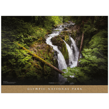 puzzleplate Olympic National Park: Sol Duc Falls 300 Jigsaw Puzzle