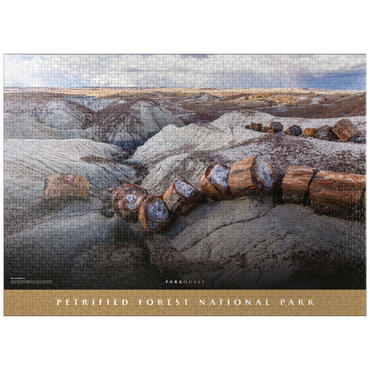 puzzleplate Petrified Forest National Park: Crystal Forest 1000 Jigsaw Puzzle