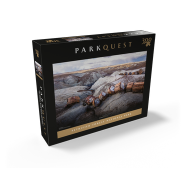 Petrified Forest National Park: Crystal Forest 300 Jigsaw Puzzle box view2