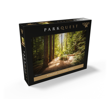 Redwood National Park: Karl Knapp Trail 1000 Jigsaw Puzzle box view2