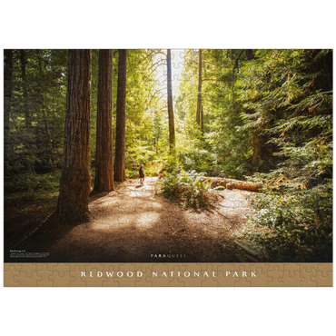 puzzleplate Redwood National Park: Karl Knapp Trail 300 Jigsaw Puzzle