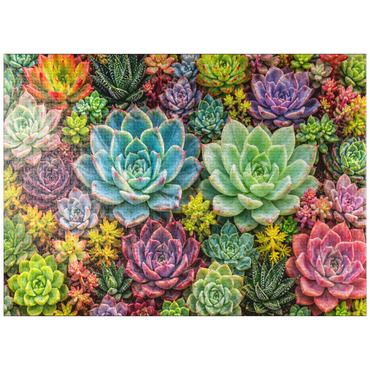 puzzleplate Colorful Succulent Garden 1000 Jigsaw Puzzle