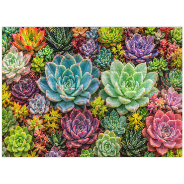 puzzleplate Colorful Succulent Garden 300 Jigsaw Puzzle