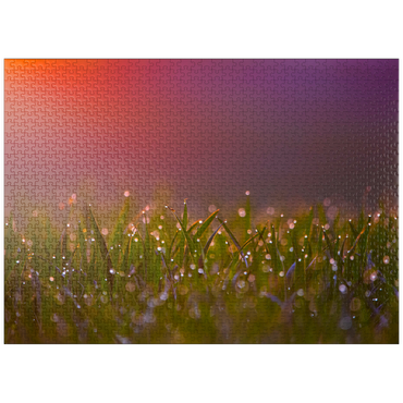 puzzleplate Morning Dew 1000 Jigsaw Puzzle