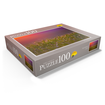 Morning Dew 100 Jigsaw Puzzle box view1