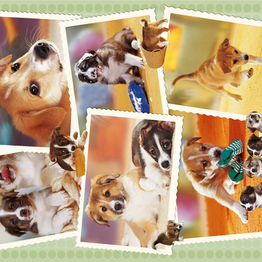 Dogs - Monika Wegner - Little Friends 1000 Jigsaw Puzzle 3D Modell