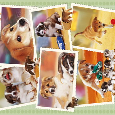 Dogs - Monika Wegner - Little Friends 100 Jigsaw Puzzle 3D Modell