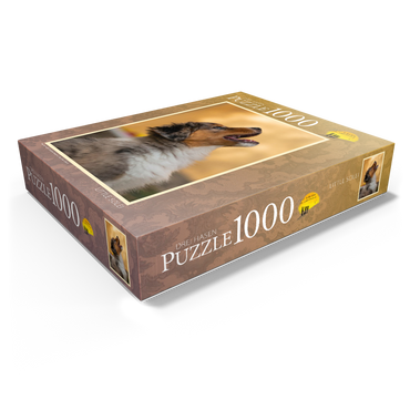 Small pickled egg 1000 Jigsaw Puzzle box view1