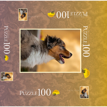 Aussi puppy 100 Jigsaw Puzzle box 3D Modell