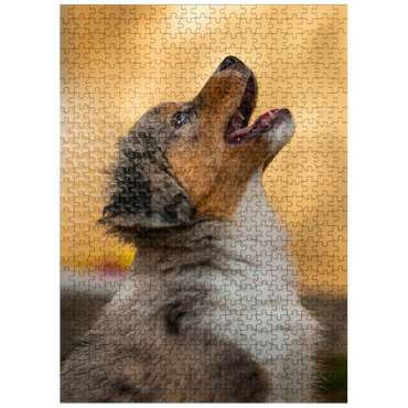 puzzleplate Aussi puppy 500 Jigsaw Puzzle