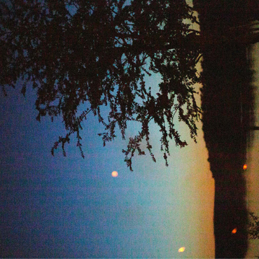 Campfire by the lake 100 Jigsaw Puzzle 3D Modell