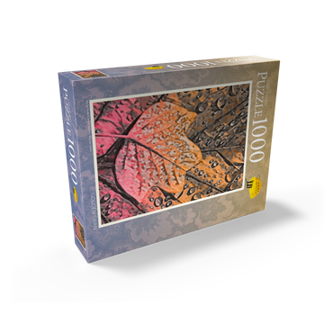 Tulip tree foliage 1000 Jigsaw Puzzle box view1