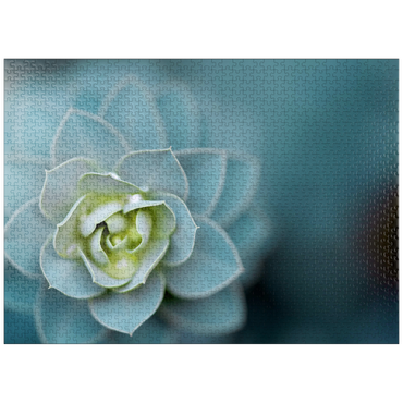 puzzleplate Sharp edges 1000 Jigsaw Puzzle