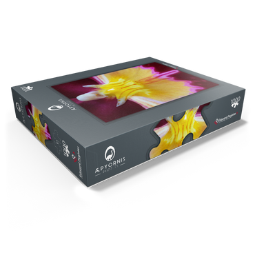 Orchidaceae 1000 Jigsaw Puzzle box view1
