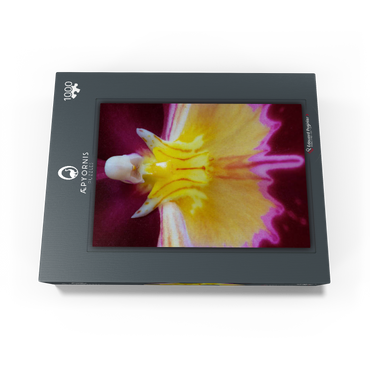 Orchidaceae 1000 Jigsaw Puzzle box view1