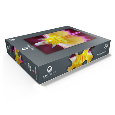 Orchidaceae 500 Jigsaw Puzzle box view1