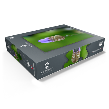 Blue Catananche 1000 Jigsaw Puzzle box view1