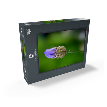 Blue Catananche 1000 Jigsaw Puzzle box view1