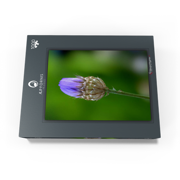 Blue Catananche 1000 Jigsaw Puzzle box view1