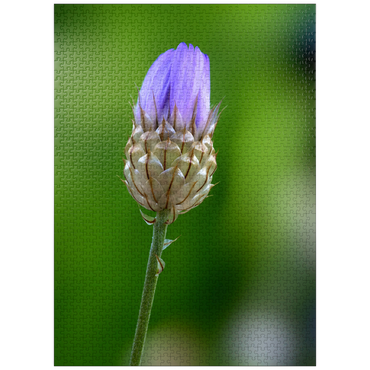 puzzleplate Blue Catananche 1000 Jigsaw Puzzle