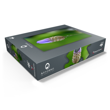 Blue Catananche 100 Jigsaw Puzzle box view1