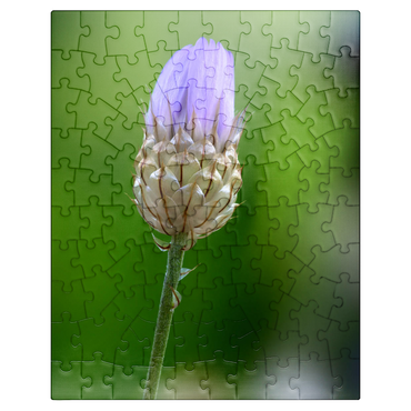 puzzleplate Blue Catananche 100 Jigsaw Puzzle