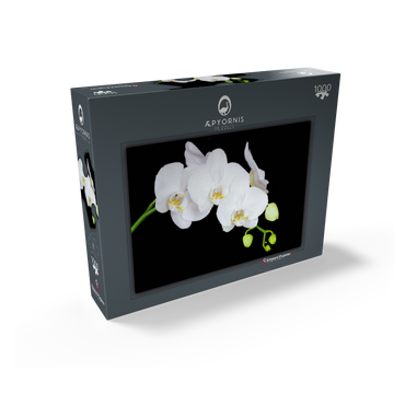 Pure Orchid 1000 Jigsaw Puzzle box view1