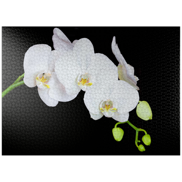 puzzleplate Pure Orchid 1000 Jigsaw Puzzle