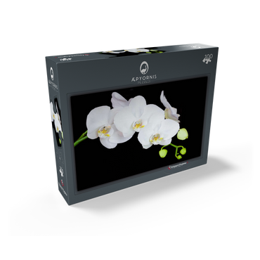Pure Orchid 100 Jigsaw Puzzle box view1