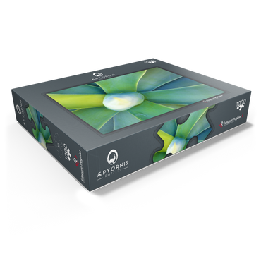 Artistic Nature 1000 Jigsaw Puzzle box view1