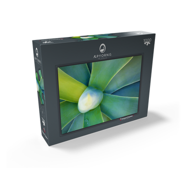 Artistic Nature 1000 Jigsaw Puzzle box view1