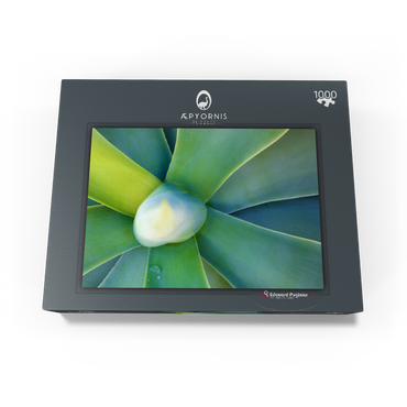 Artistic Nature 1000 Jigsaw Puzzle box view1