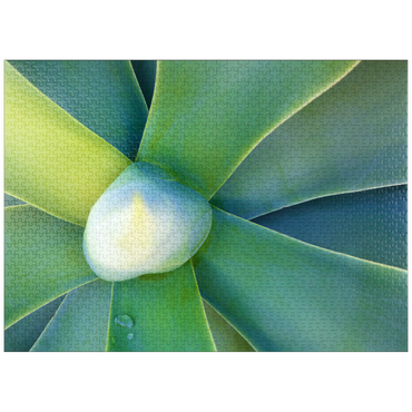 puzzleplate Artistic Nature 1000 Jigsaw Puzzle