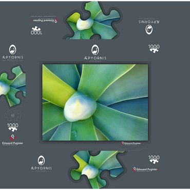 Artistic Nature 1000 Jigsaw Puzzle box 3D Modell