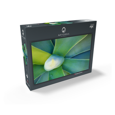 Artistic Nature 100 Jigsaw Puzzle box view1