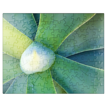 puzzleplate Artistic Nature 100 Jigsaw Puzzle