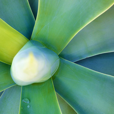 Artistic Nature 100 Jigsaw Puzzle 3D Modell