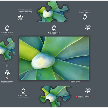 Artistic Nature 100 Jigsaw Puzzle box 3D Modell