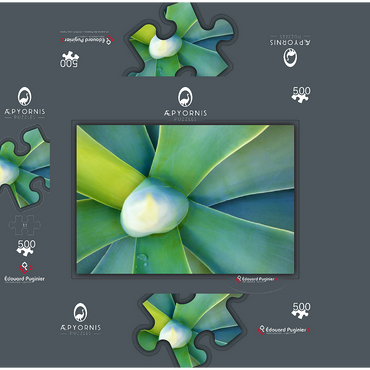 Artistic Nature 500 Jigsaw Puzzle box 3D Modell