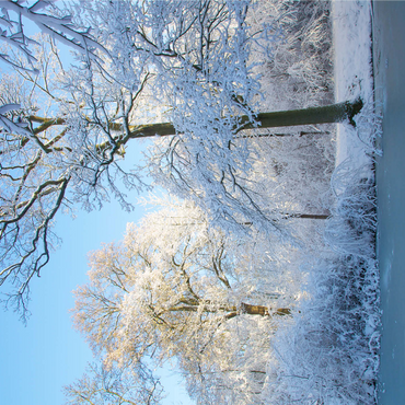 White Nature 1000 Jigsaw Puzzle 3D Modell